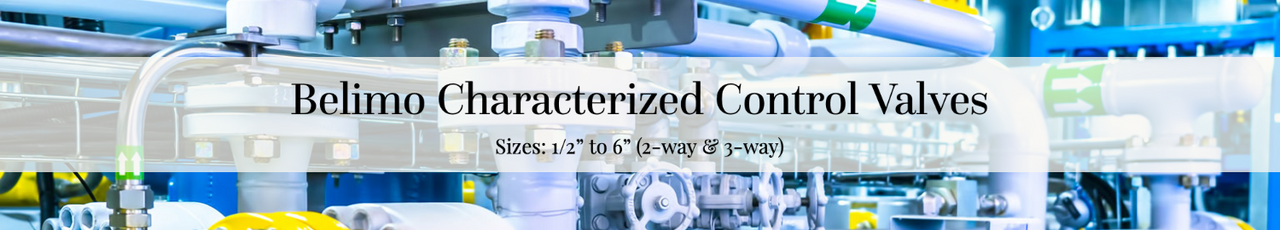 Characterized Control Valves